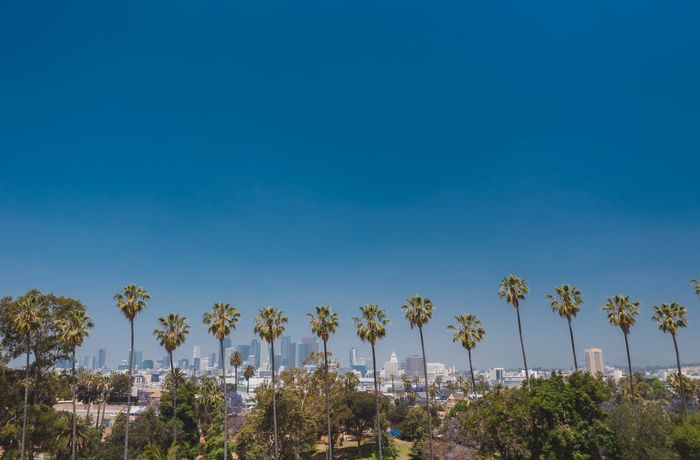 Downtown Los Angeles skyline behind a row of palm trees